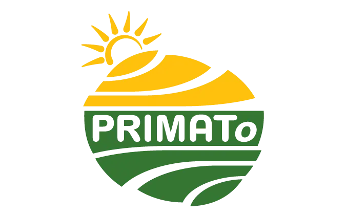 Primato P